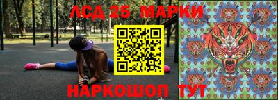 амф Заволжье