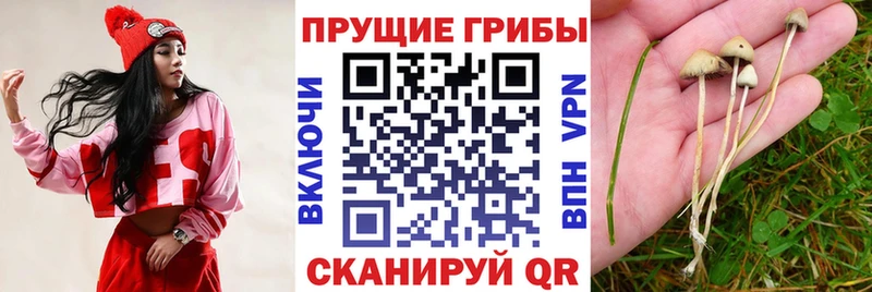 Псилоцибиновые грибы мухоморы  Кузнецк 