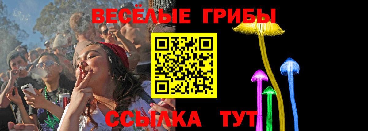 Кузнецк  Псилоцибиновые грибы Cubensis  Вход с VPN 
