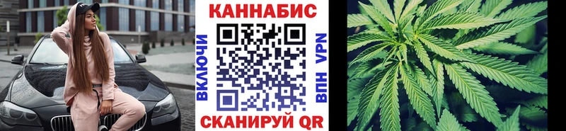 как найти   Кузнецк  Шишки марихуана сатива 